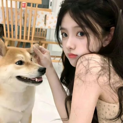 泡影昙花 在线观看